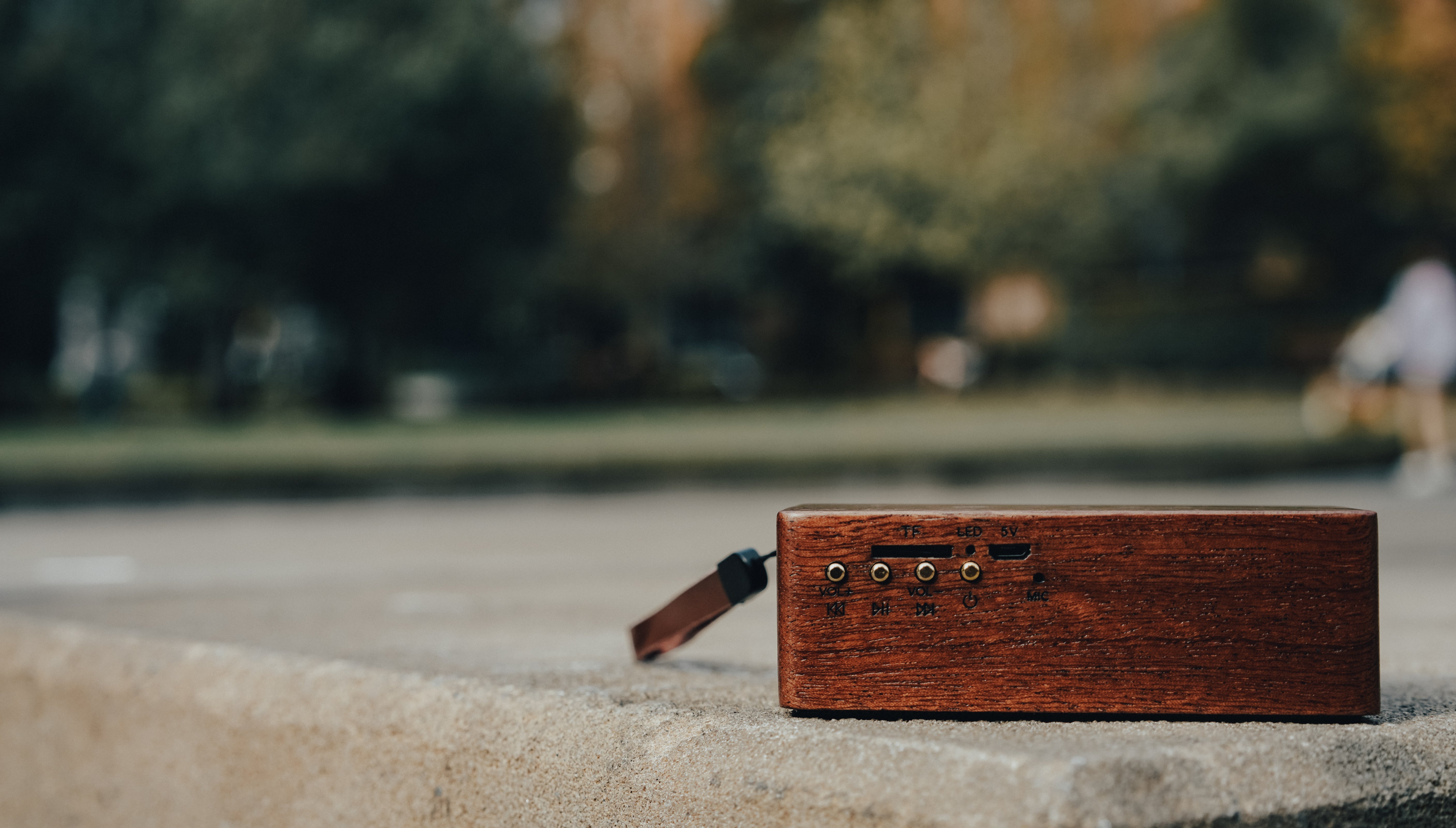 CASMO WanderBox Solid Wood Bluetooth Speaker (2 Materials)