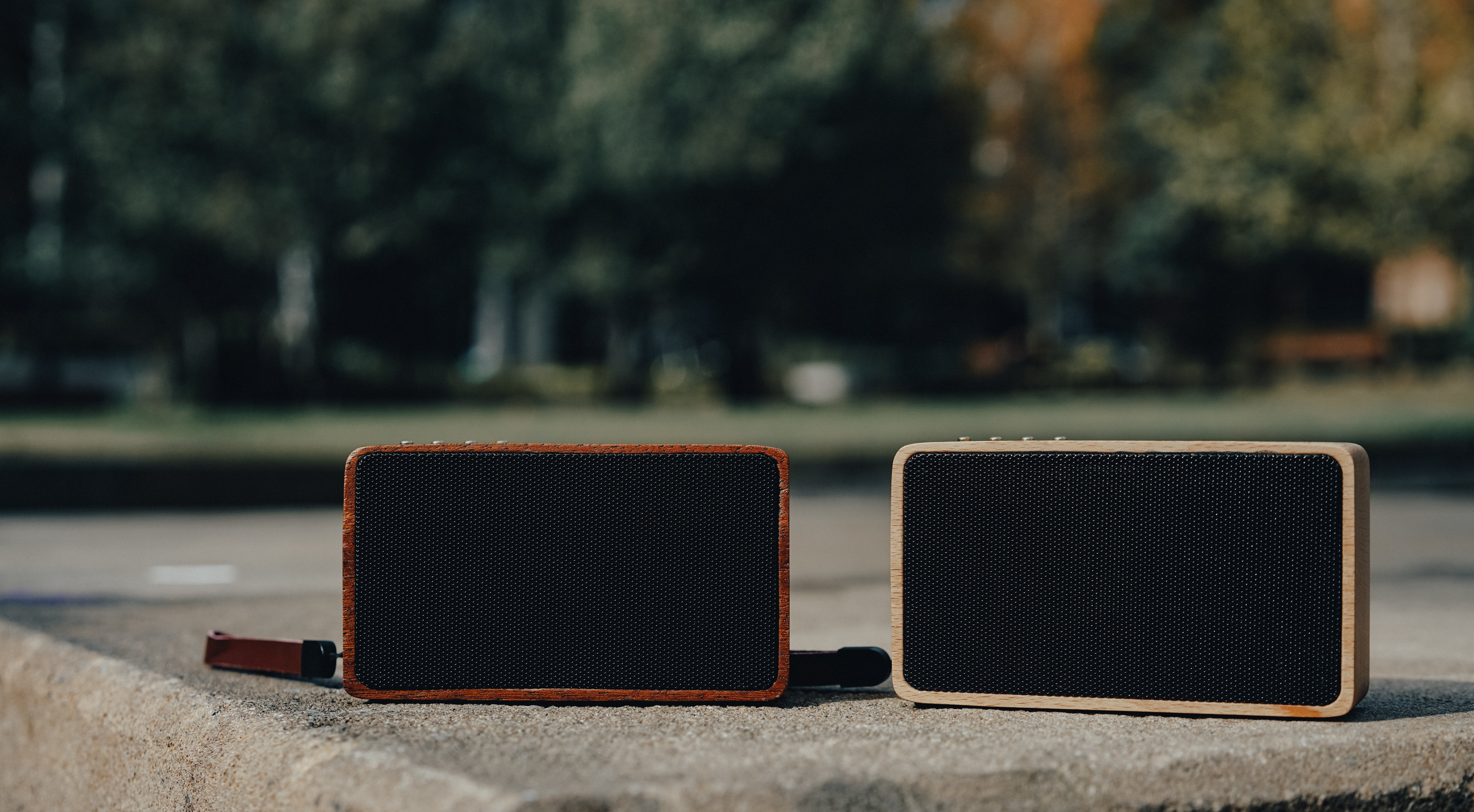 CASMO WanderBox Solid Wood Bluetooth Speaker (2 Materials)
