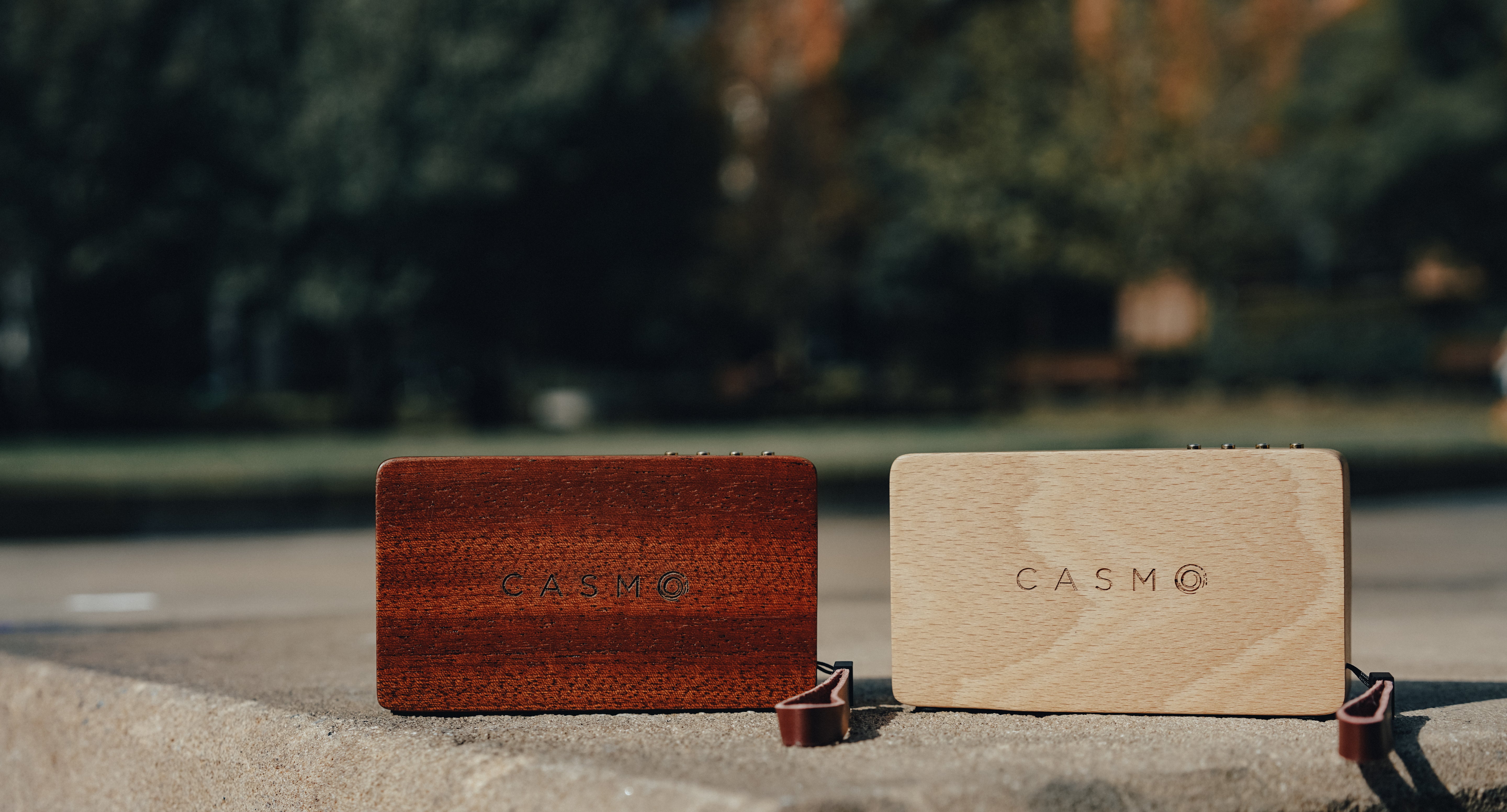 CASMO WanderBox Solid Wood Bluetooth Speaker (2 Materials)