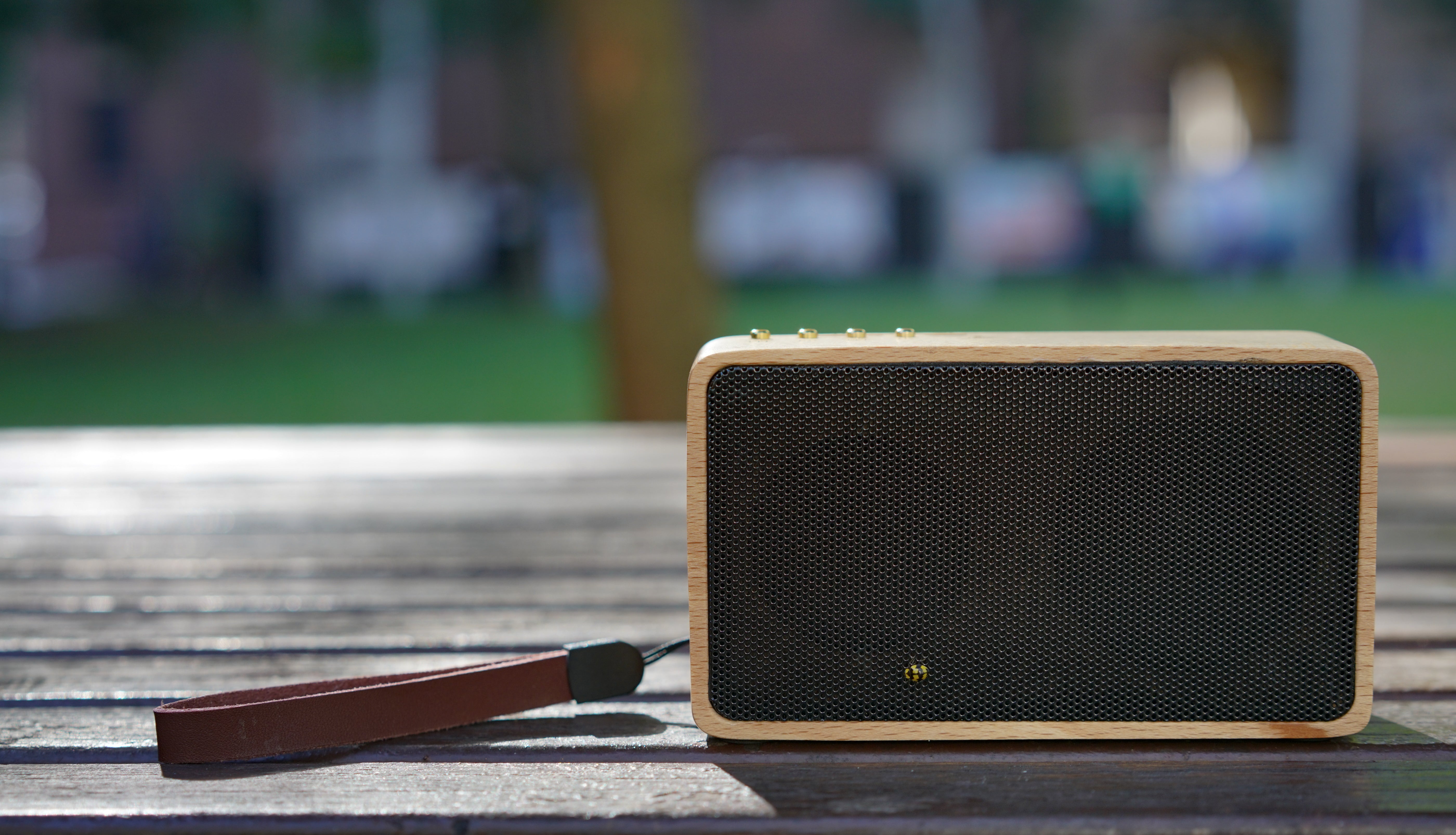 CASMO WanderBox Solid Wood Bluetooth Speaker (2 Materials)