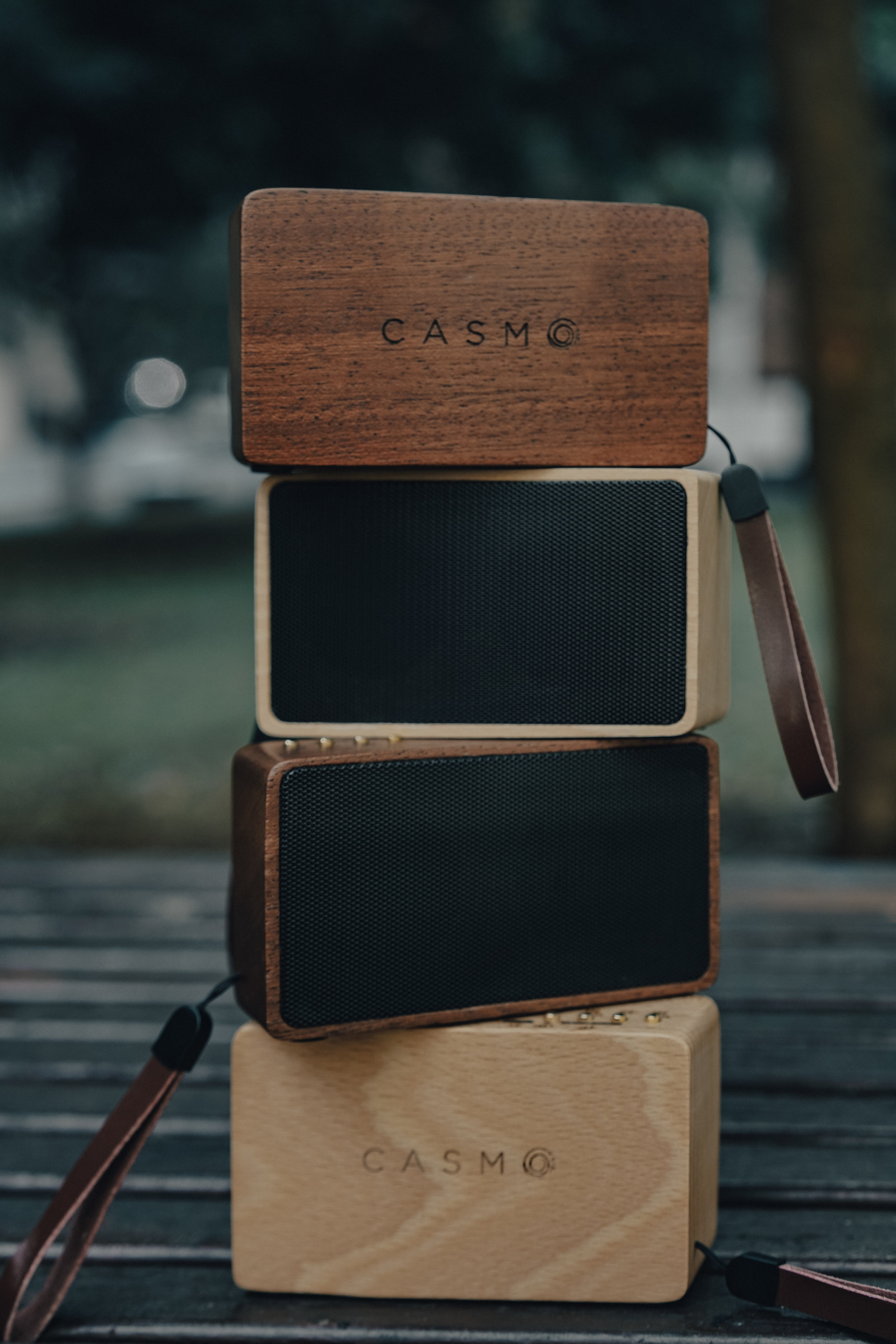 CASMO WanderBox Solid Wood Bluetooth Speaker (2 Materials)